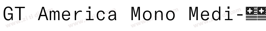 GT America Mono Medi字体转换